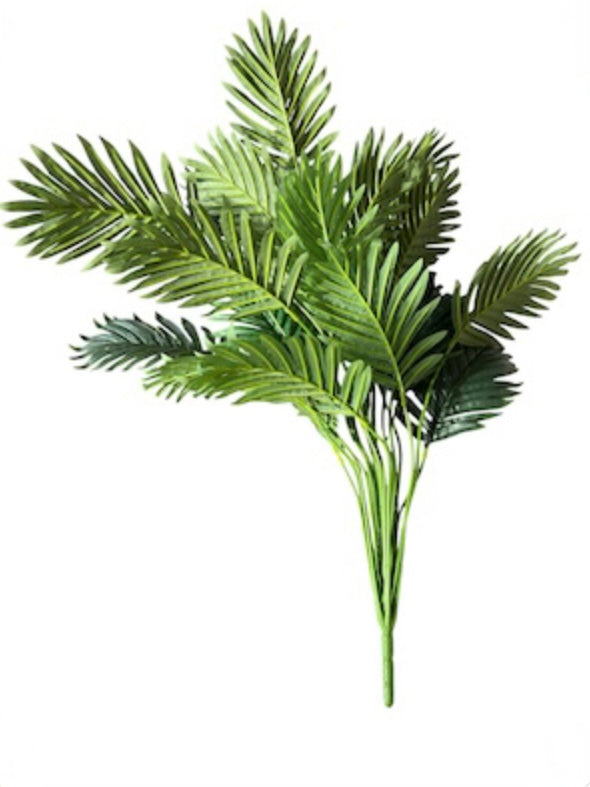 Plant Collection