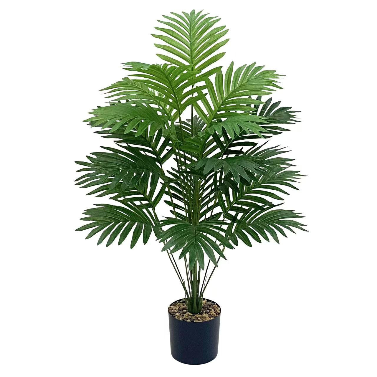 Plant Collection