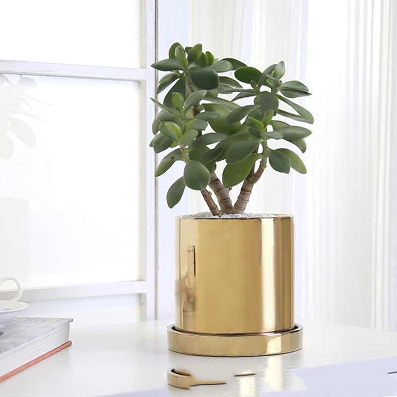 Gold Plating Vase