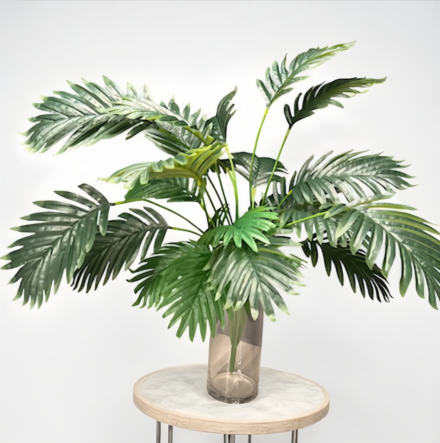 Plant Collection