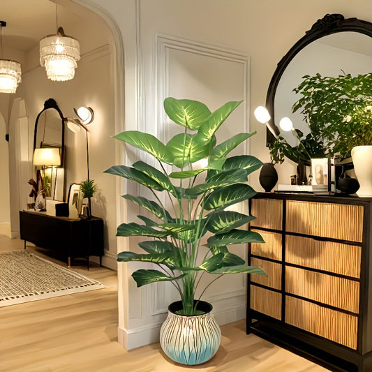 Plant Collection