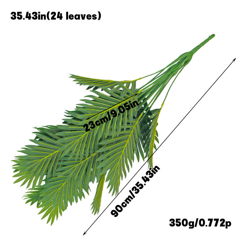 Plant Collection